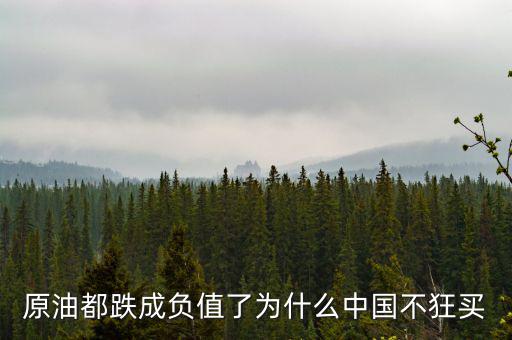 原油都跌成負(fù)值了為什么中國(guó)不狂買(mǎi)