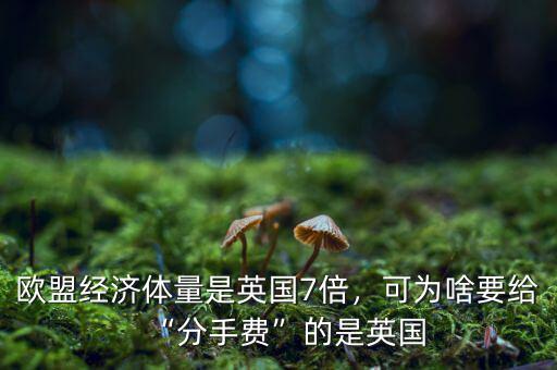 歐盟經(jīng)濟(jì)體量是英國(guó)7倍，可為啥要給“分手費(fèi)”的是英國(guó)