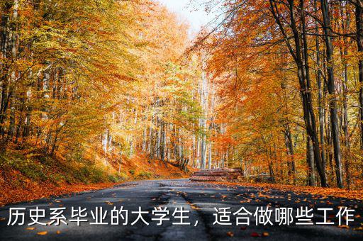 歷史系畢業(yè)的大學(xué)生，適合做哪些工作