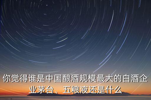 你覺得誰是中國釀酒規(guī)模最大的白酒企業(yè)茅臺、五糧液還是什么