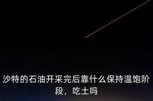 沙特的石油開采完后靠什么保持溫飽階段，吃土嗎