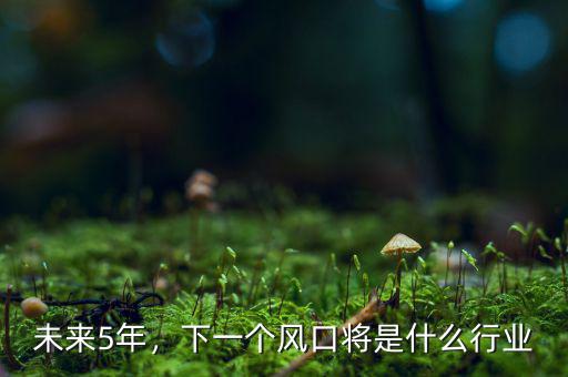 未來(lái)5年，下一個(gè)風(fēng)口將是什么行業(yè)