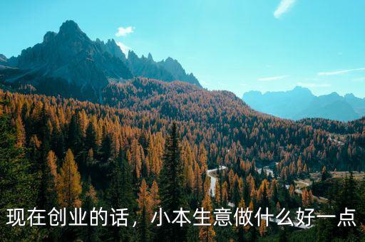 現(xiàn)在創(chuàng)業(yè)的話，小本生意做什么好一點