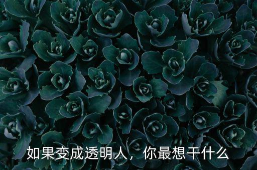 如果變成透明人，你最想干什么