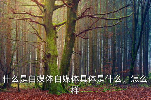 什么是自媒體自媒體具體是什么，怎么樣