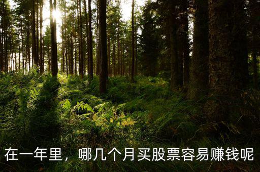 在一年里，哪幾個(gè)月買(mǎi)股票容易賺錢(qián)呢
