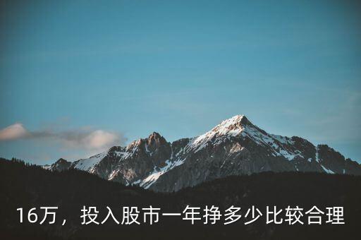 16萬，投入股市一年掙多少比較合理