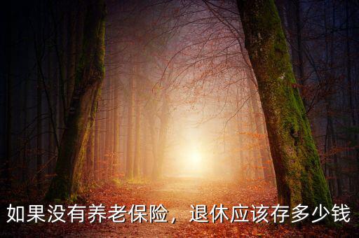 如果沒(méi)有養(yǎng)老保險(xiǎn)，退休應(yīng)該存多少錢