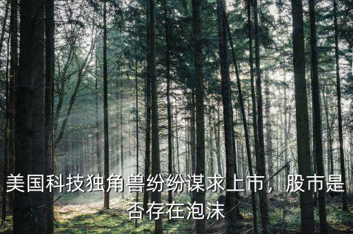 美國科技獨角獸紛紛謀求上市，股市是否存在泡沫
