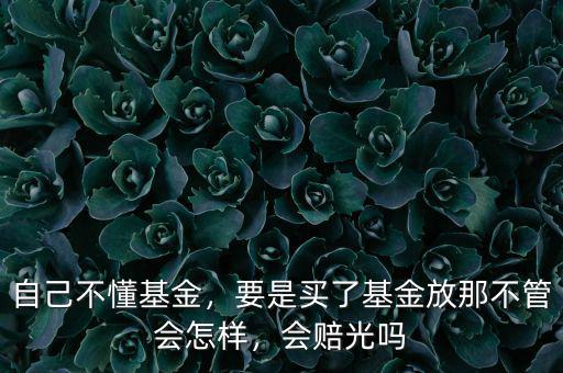 自己不懂基金，要是買了基金放那不管會怎樣，會賠光嗎