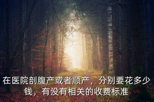 順產生產要多少錢,分別要花多少錢