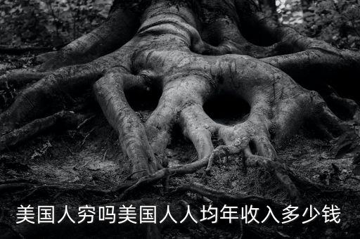 美國(guó)人窮嗎美國(guó)人人均年收入多少錢