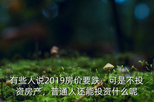有些人說2019房?jī)r(jià)要跌，可是不投資房產(chǎn)，普通人還能投資什么呢