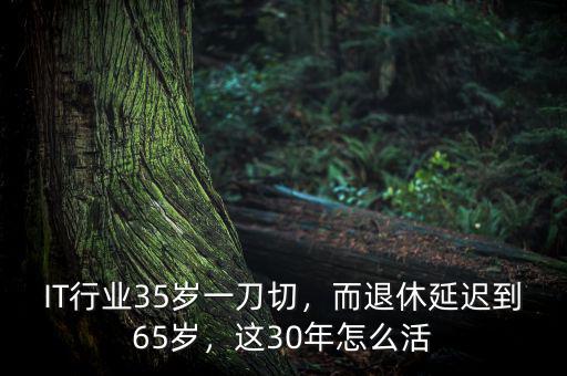 IT行業(yè)35歲一刀切，而退休延遲到65歲，這30年怎么活