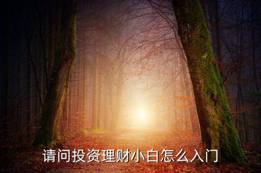 請問投資理財小白怎么入門