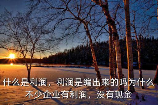 什么是利潤，利潤是編出來的嗎為什么不少企業(yè)有利潤，沒有現(xiàn)金