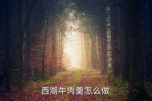 怎么在微信賣生羹,西湖牛肉羹怎么做