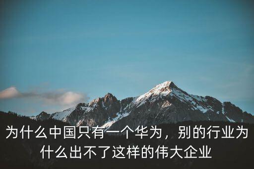 為什么只有一個(gè)華為,為什么中國只有一個(gè)華為