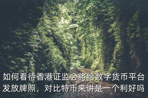 如何看待香港證監(jiān)會(huì)將給數(shù)字貨幣平臺(tái)發(fā)放牌照，對(duì)比特幣來(lái)講是一個(gè)利好嗎