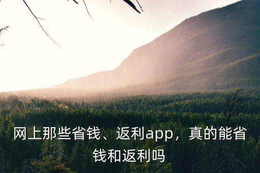 為什么返利網返現那么慢,返利網靠譜嗎