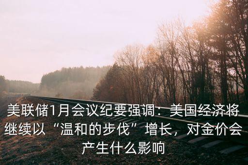 美聯(lián)儲1月會議紀要強調(diào)：美國經(jīng)濟將繼續(xù)以“溫和的步伐”增長，對金價會產(chǎn)生什么影響