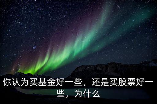 你認(rèn)為買基金好一些，還是買股票好一些，為什么