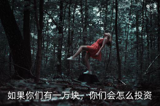 如果你們有一萬塊，你們會(huì)怎么投資