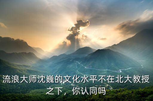 流浪大師沈巍的文化水平不在北大教授之下，你認同嗎