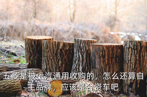五菱是被上汽通用收購的，怎么還算自主品牌，應(yīng)該是合資車吧