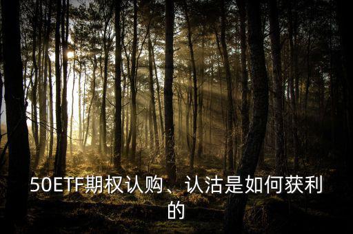 50ETF期權(quán)認(rèn)購、認(rèn)沽是如何獲利的