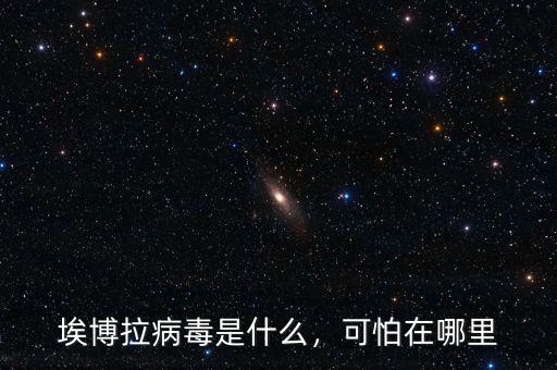埃博拉病毒是什么，可怕在哪里
