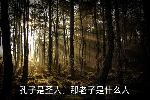 孔子是圣人，那老子是什么人