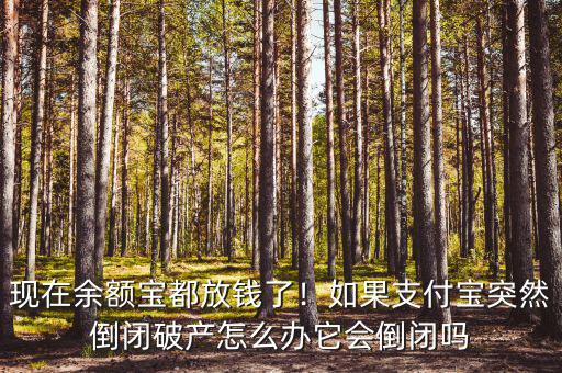 現(xiàn)在余額寶都放錢了！如果支付寶突然倒閉破產(chǎn)怎么辦它會倒閉嗎