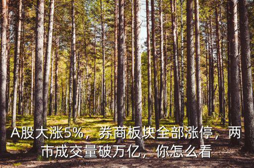 A股大漲5%，券商板塊全部漲停，兩市成交量破萬(wàn)億，你怎么看