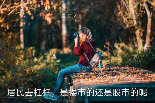 居民去杠桿，是樓市的還是股市的呢