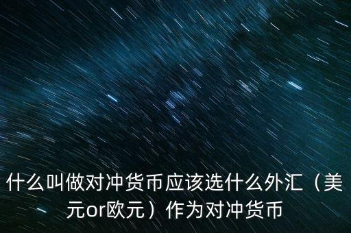 什么叫做對(duì)沖貨幣應(yīng)該選什么外匯（美元or歐元）作為對(duì)沖貨幣