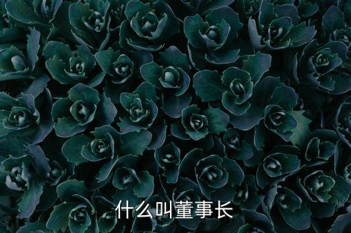 太能集團董事長叫什么,總經理在分別行使什么權利