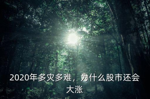 2020年多災多難，為什么股市還會大漲