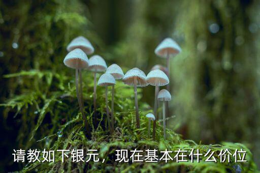 請(qǐng)教如下銀元，現(xiàn)在基本在什么價(jià)位