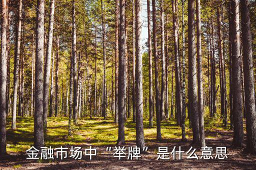 金融市場(chǎng)中“舉牌”是什么意思