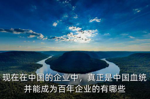 現(xiàn)在在中國(guó)的企業(yè)中，真正是中國(guó)血統(tǒng)并能成為百年企業(yè)的有哪些