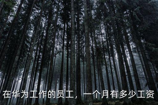 在華為工作的員工，一個(gè)月有多少工資