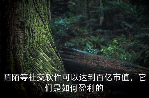 陌陌等社交軟件可以達(dá)到百億市值，它們是如何盈利的