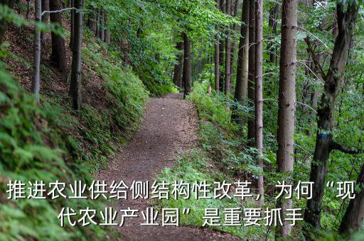 推進農(nóng)業(yè)供給側(cè)結(jié)構(gòu)性改革，為何“現(xiàn)代農(nóng)業(yè)產(chǎn)業(yè)園”是重要抓手