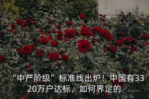 “中產(chǎn)階級(jí)”標(biāo)準(zhǔn)線出爐！中國(guó)有3320萬(wàn)戶達(dá)標(biāo)，如何界定的