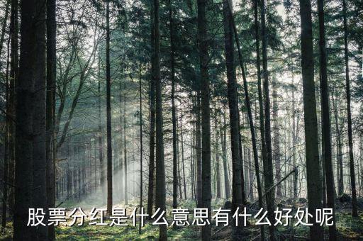 入股分紅是什么意思,股票分紅是什么意思