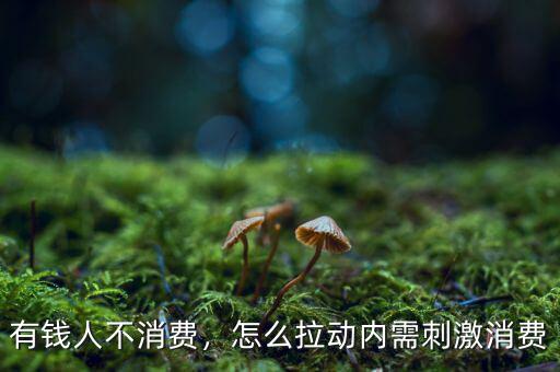 美國富人怎么消費(fèi),怎么拉動(dòng)內(nèi)需刺激消費(fèi)