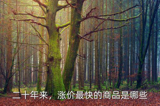 二十年來，漲價最快的商品是哪些