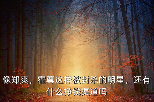 像鄭爽，霍尊這樣被封殺的明星，還有什么掙錢渠道嗎