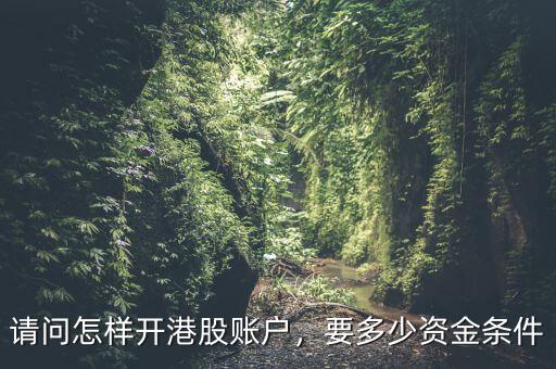 請問怎樣開港股賬戶，要多少資金條件